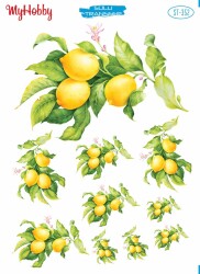 My Hobby ST-352 - 25x35cm - MyHobby